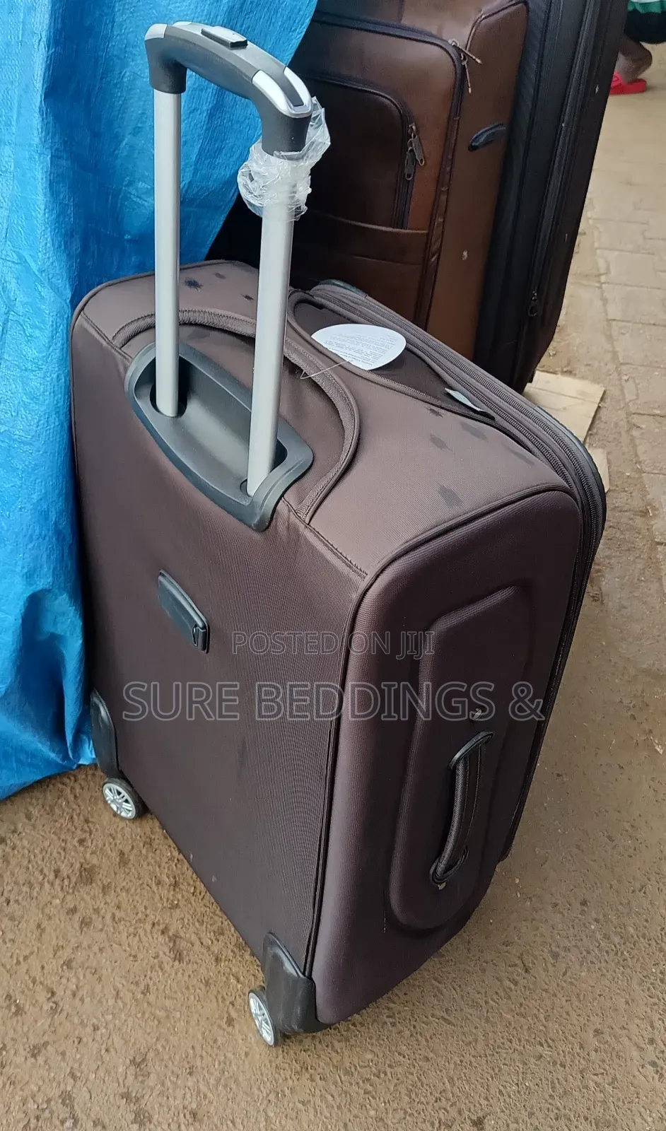 Dino Medium Suitcase