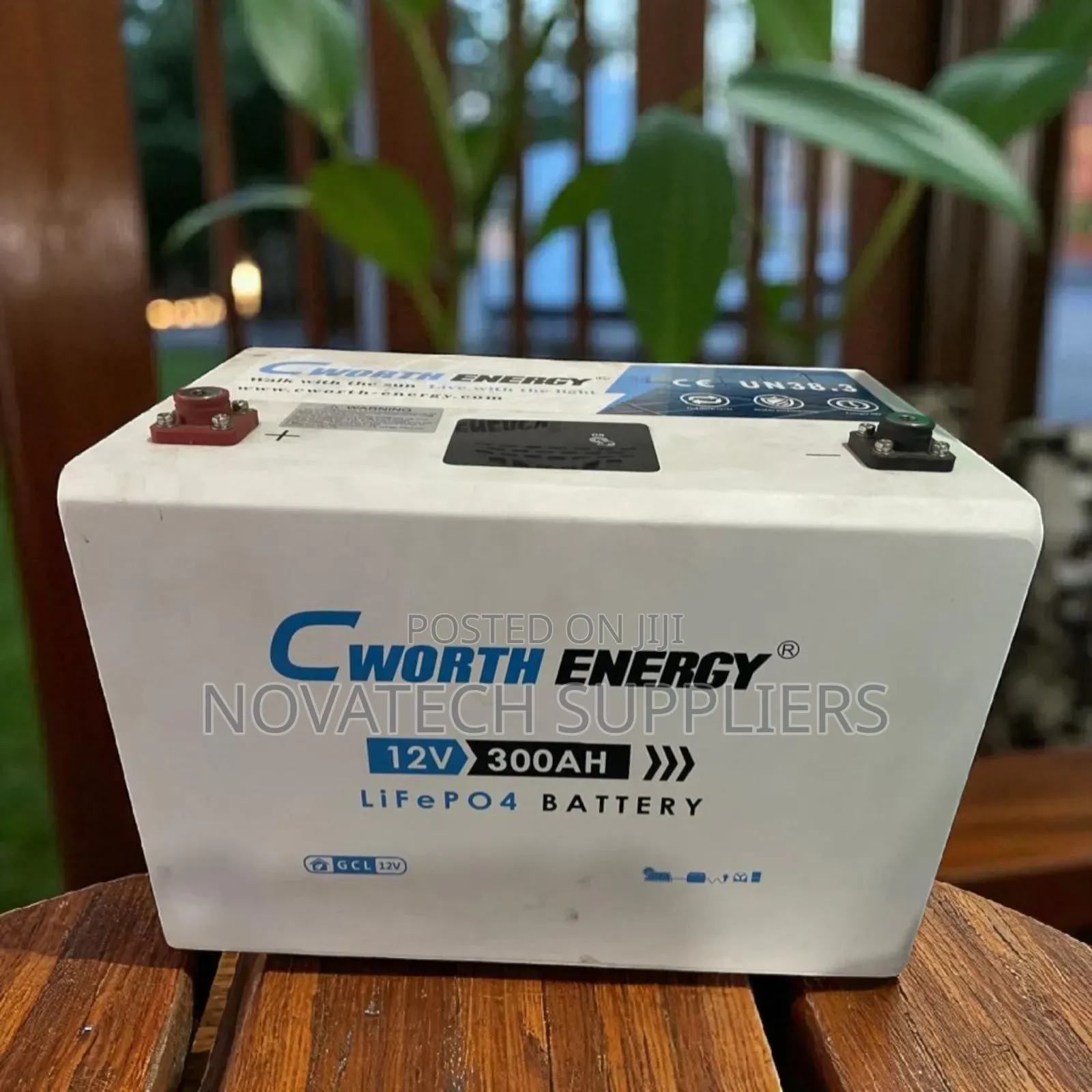 Ultimate Off-Grid Power: 3.84kwh Cworth Battery
