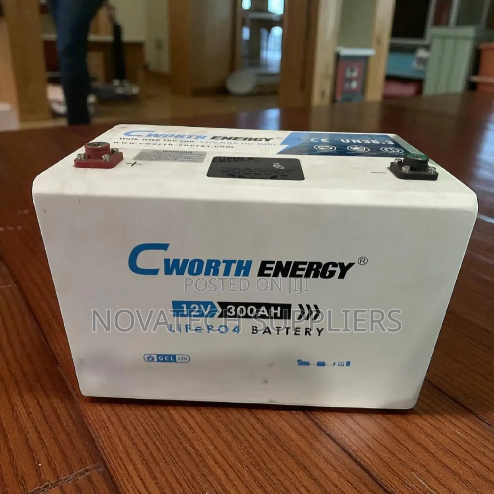 Reliable Ready: The 12v 300ah Cworth Battery