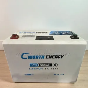 Power Freedom: Cworth 3.84kwh Lithium Energy Battery