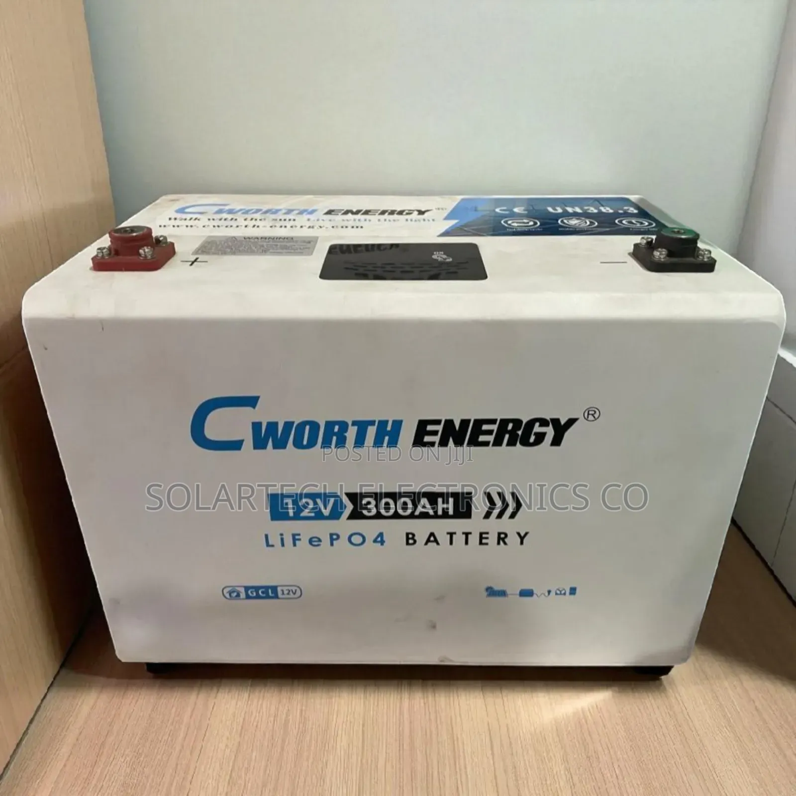 Energy Unleashed: Cworth's 3.84kwh Solution Lithium Battery