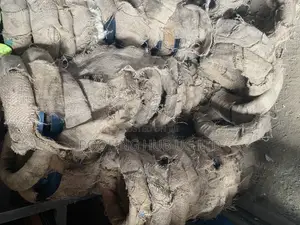 Hoop Payan 12kgs ( 4 Pieces)