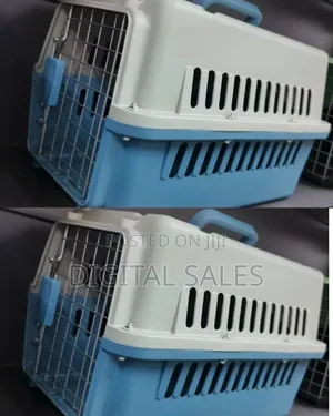 Blue and White Pet Travel House