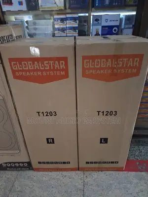 Globalstar T1203 Full Range Pair