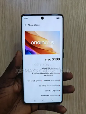 Vivo X100 256 GB Black