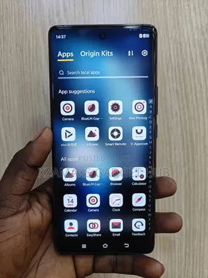 Vivo X100 256 GB Black