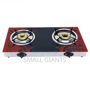 Pixel Double Burner Glass Gas Stove With Automatic Ignition