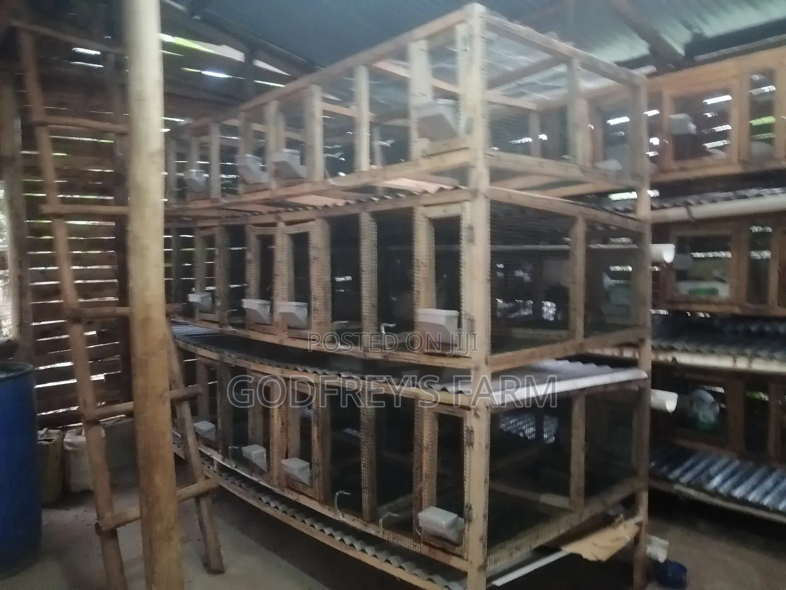 Rabbit Cages