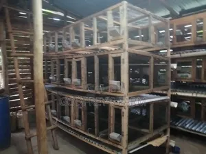 Rabbit Cages