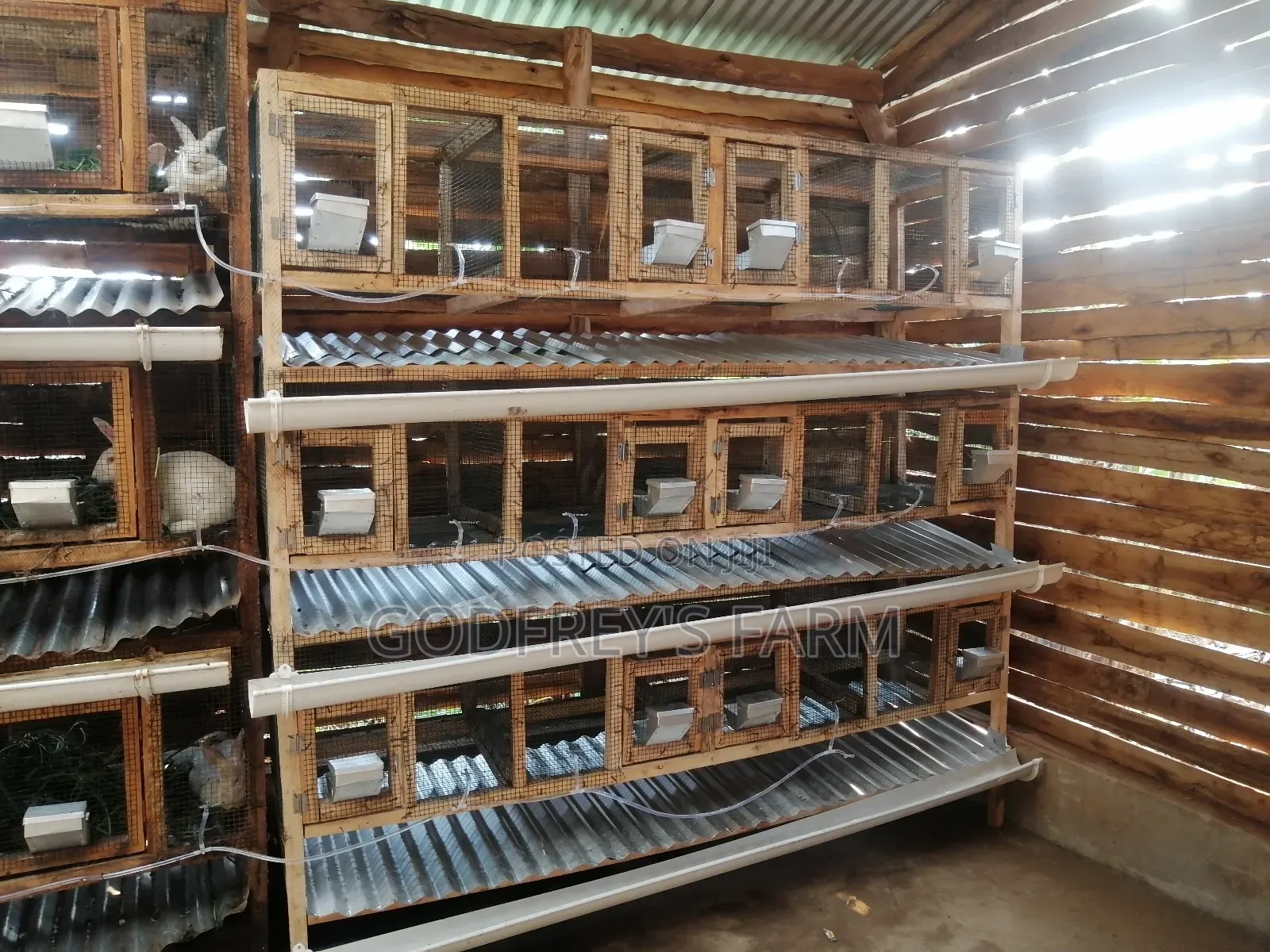 Rabbit Cages