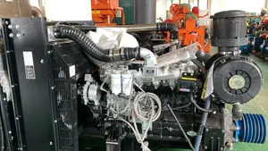 Open 191kw/239kva Open Diesel Generator With Pump