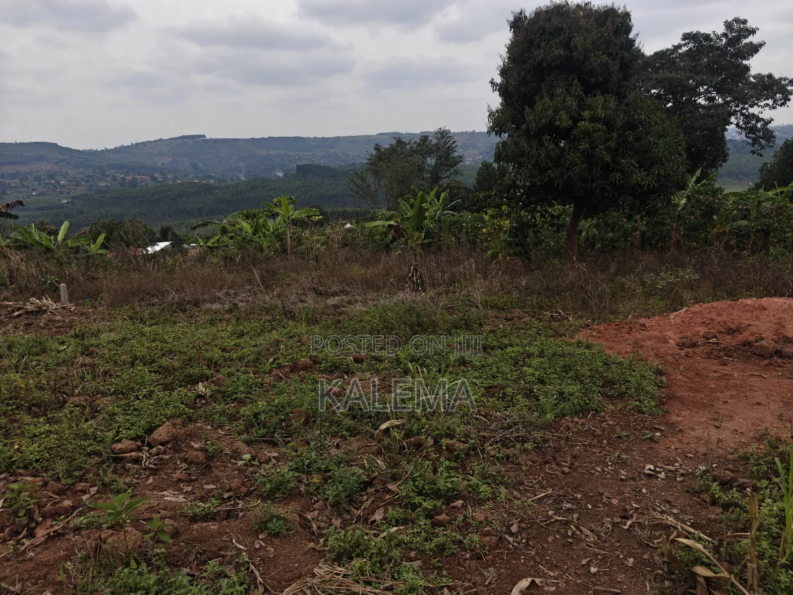 Nsangi Plot With Ready Land Tiles