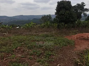 Nsangi Plot With Ready Land Tiles