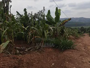Nsangi Plot With Ready Land Tiles
