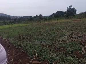 Private Milo Land With Ready Land Tiles