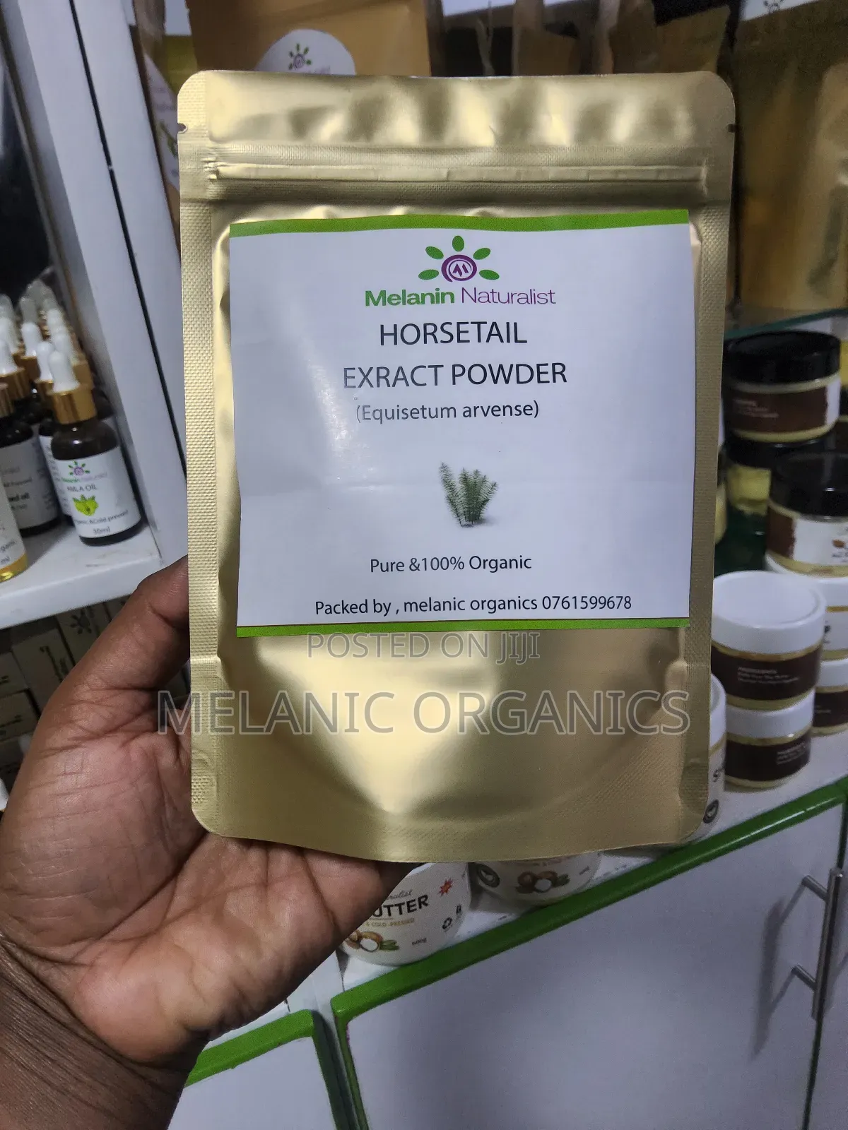Horsetail Extract Powder