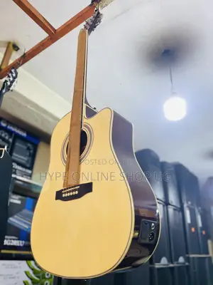 Sweet Sound Powered Acoustic Guitar