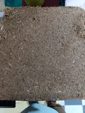Treated Cocopeat.