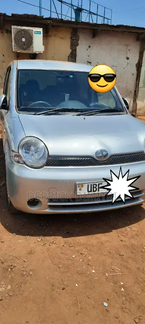 Car Plus the Driver