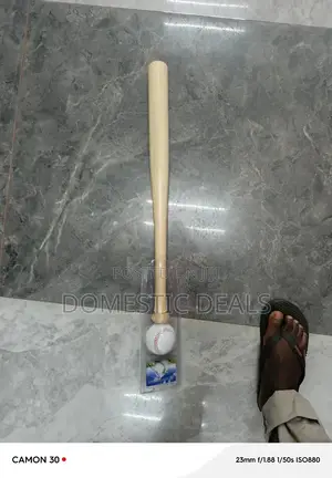 Baseball Bat With Ball