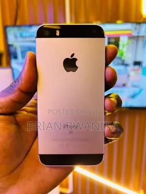 Apple iPhone SE 64 GB Gray