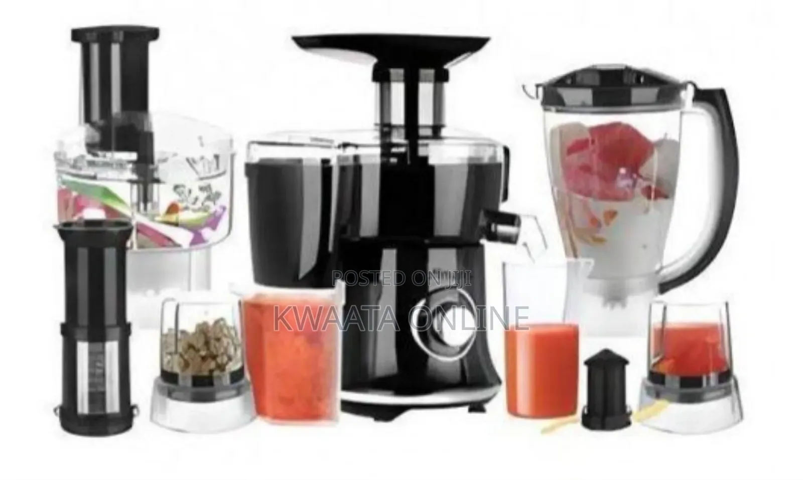 Hoffmans 10 In1 Juicer Blender Extractor Food Processor Hm-1267