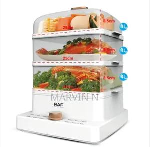Automatic Food Steamer