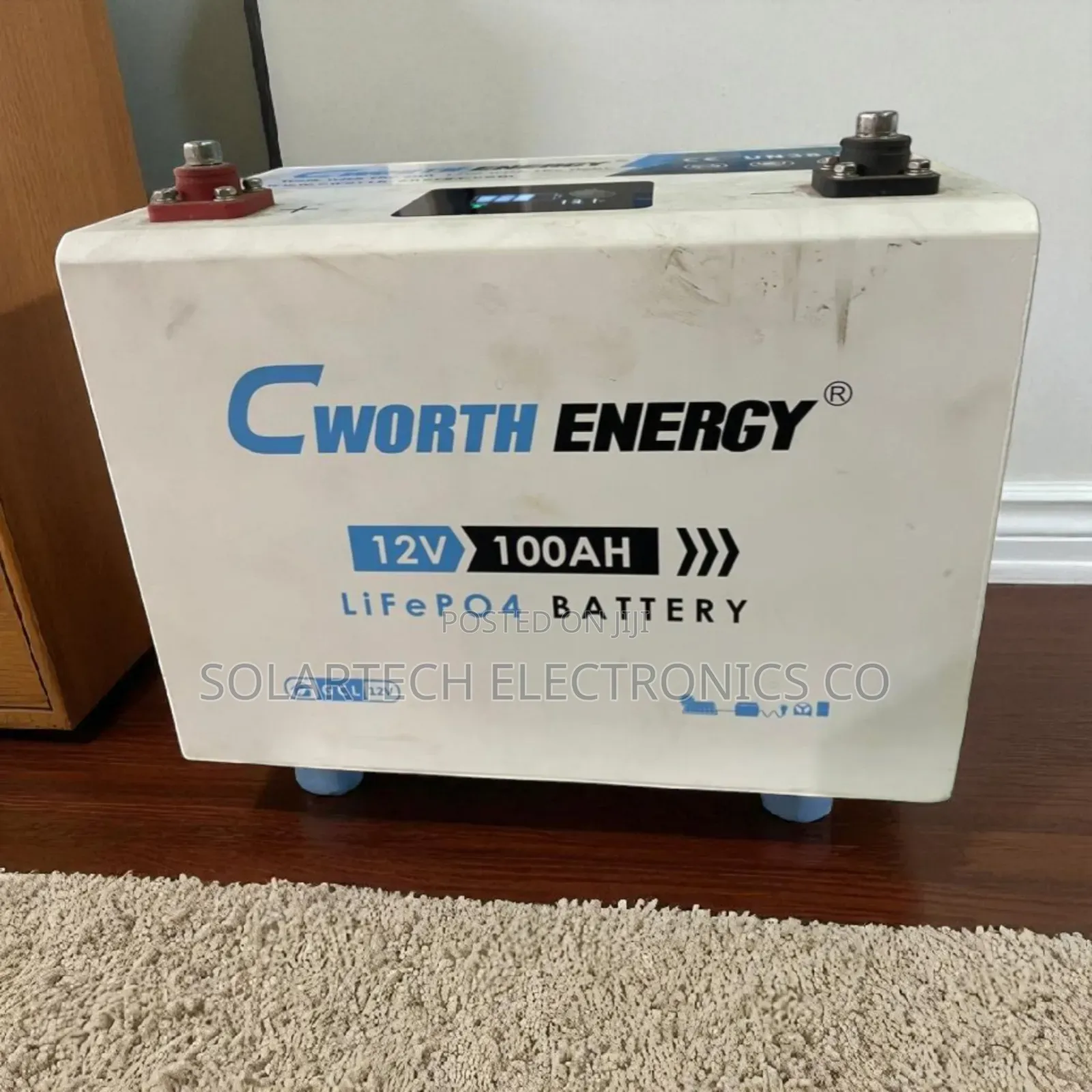 Cworth 100ah Deep Cycle Lithium Ion Battery - Lightweight