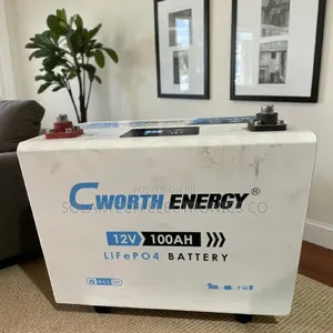 Portable Power: 100ah Cworth Lithium Battery for Sale/ Good Price