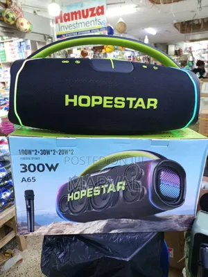 A65 300w Portable Speaker.