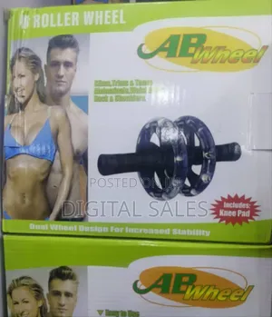 Ab Wheel Roller Full Body Workout