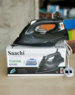Home Electric Steam Iron