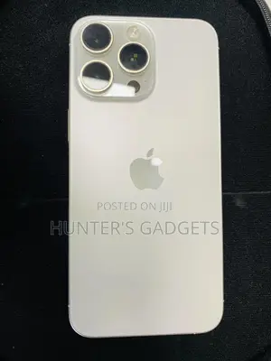 Apple iPhone 15 Pro Max 256 GB Silver