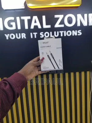 Audio Cable