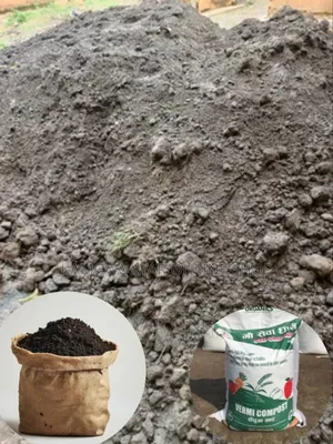 Black Soil