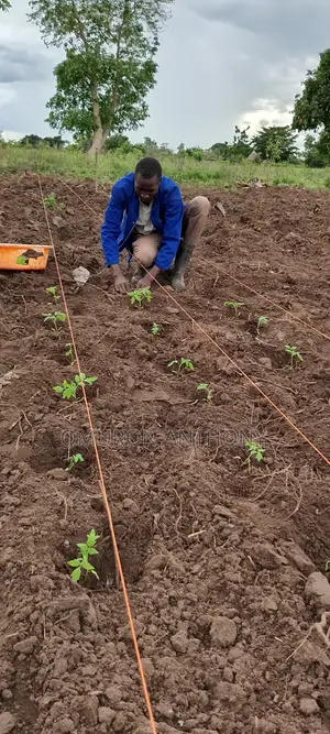 Agriculturalist