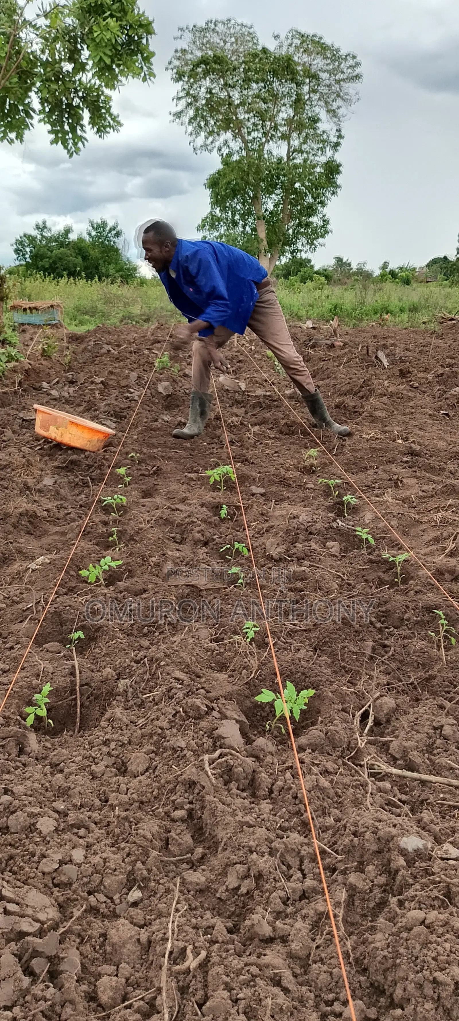 Agriculturalist