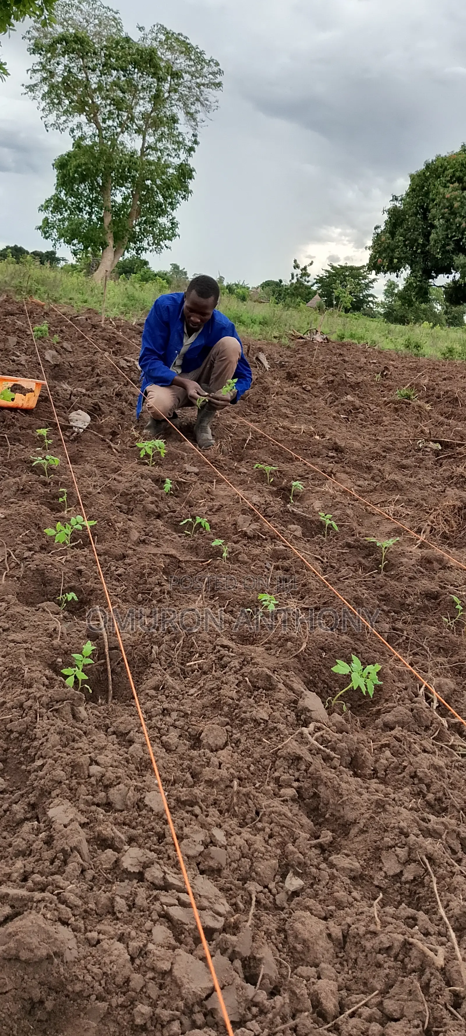 Agriculturalist