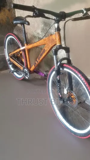 Mountain Bike