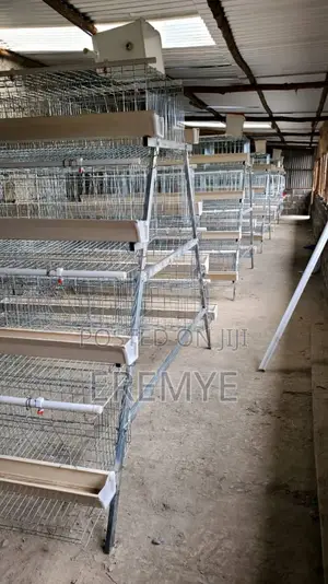 Layer Cages