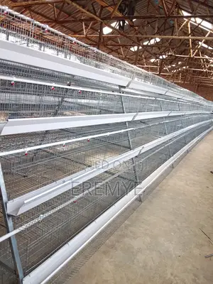 Layer Cages