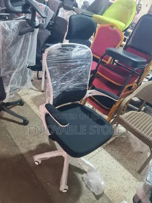 Ergonomic Master Office Chair