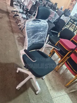 Ergonomic Master Office Chair