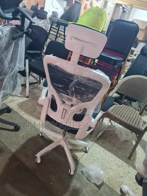 Ergonomic Master Office Chair