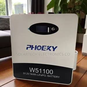 Phoeky 5kwh 48v Lithium Battery: The Ultimate Powerwall