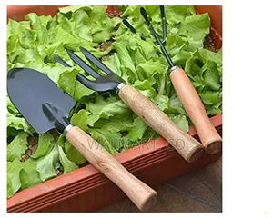Garden Tools(Trowel,Garden Fork,Hand Cultivator)