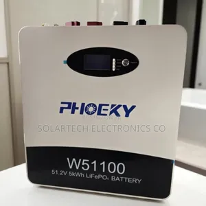 Expandable Phoeky 5kwh 48v Lithium-Ion Battery