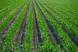 Affordable Agriculture Websites With Custom Features, Get Yours Today