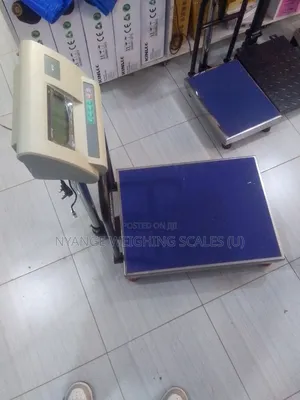 Platform Weighing Scales A12 Brand Food Weighing Scale