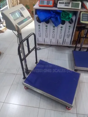 Digital Weigh Scale 300kg Weigh Industrial Weighing Scale